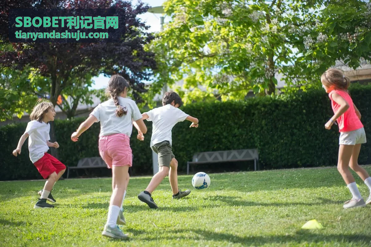 SBOBET利记-数据可视化仪表盘