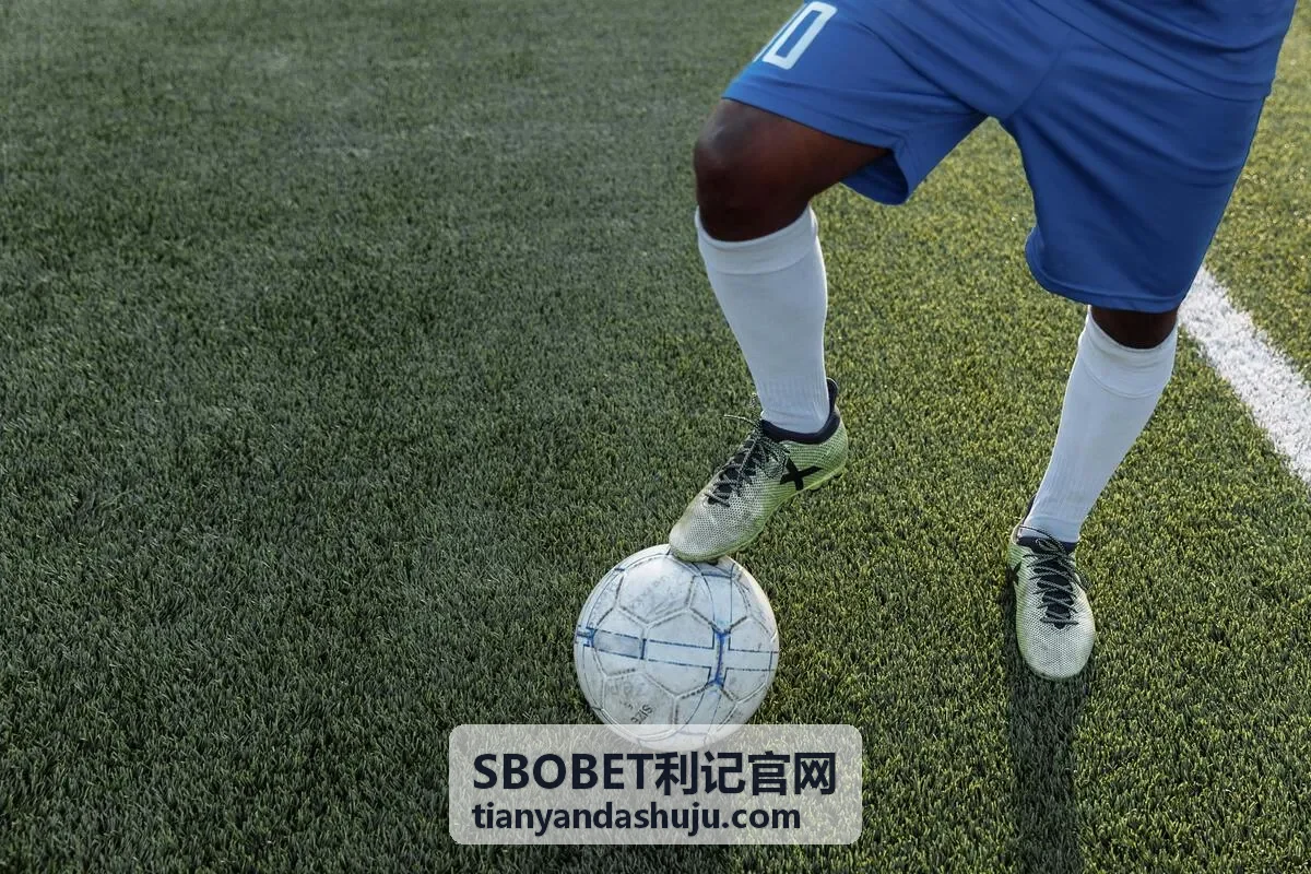 SBOBET利记-科技公司用户增长